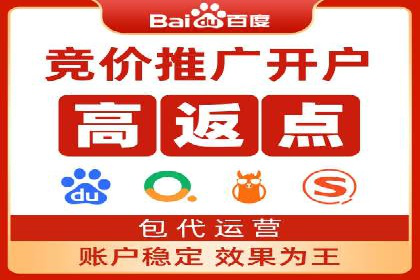 高效SEM托管服务：成功案例深度解析